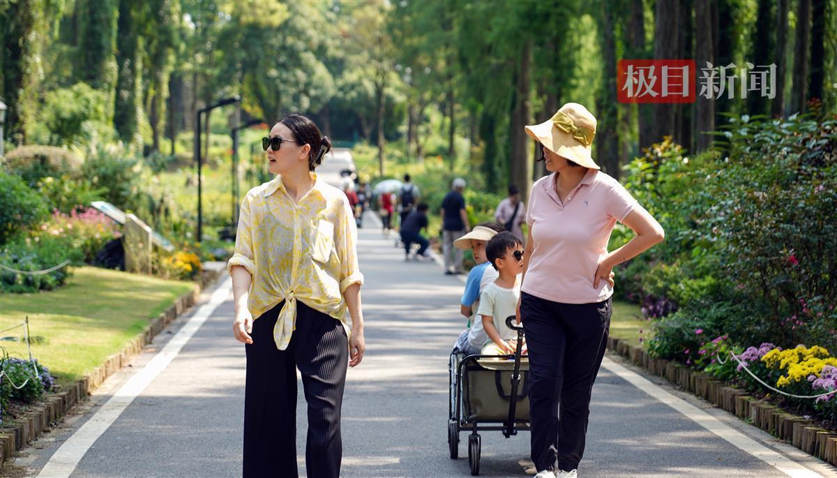 百家乐的技巧